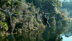 Impact Trolley with pivoting handle for zip line